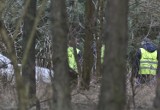 Brutalne morderstwo w Z. Górze. W lesie znaleziono ciało kobiety [ZDJĘCIA]