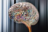 Naukowcy pracują nad bezpośrednią komunikacją mózg-komputer