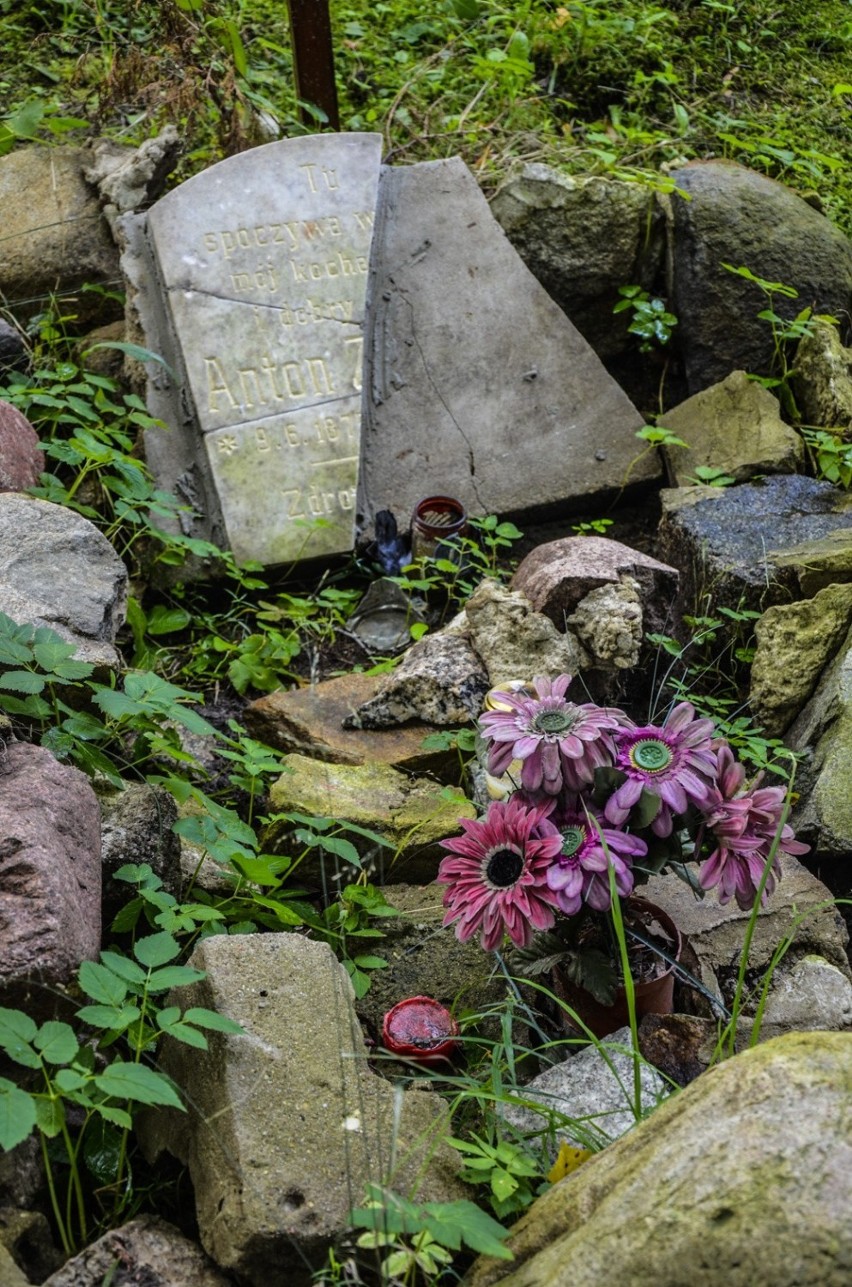 Zapomniany cmentarz w Gdyni Kolibkach [zdjęcia]
