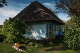 Niezwykłe polskie wsie na długi weekend pod miastem. Gdzie odpocząć i przeżyć przygodę w majówkę i wakacje 2022?