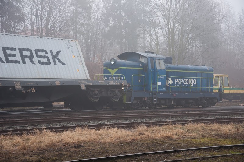 Kwidzyn: Wykoleił się jeden z wagonów pociągu towarowego