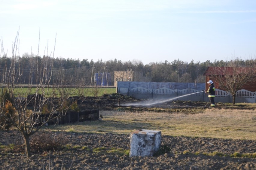 Książ Wlkp.: pożar trawy na działkach przy ul. Dębniackiej...