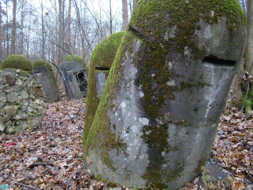 Poniemieckie bunkry z II wojny światowej na leśnej wystawie w Chełmku