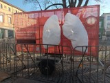 "Płuca smogowe" stanęły w Lublińcu. W trosce o jakość powietrza w mieście. Będzie też konferencja 