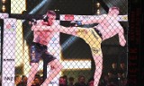 Gala Hybrid MMA 3. Kibice w Pile obejrzeli dziesięć pojedynków [ZDJĘCIA]