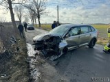 Pijany 17-latek uderzył skodą w drzewo. Do wypadku doszło w Dębiu w gminie Chrząstowice. Pogotowie zabrało chłopaka do szpitala