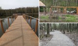 W Bronowicach powstaje nowa przestrzeń rekreacyjna. Wkrótce oficjalne otwarcie parku