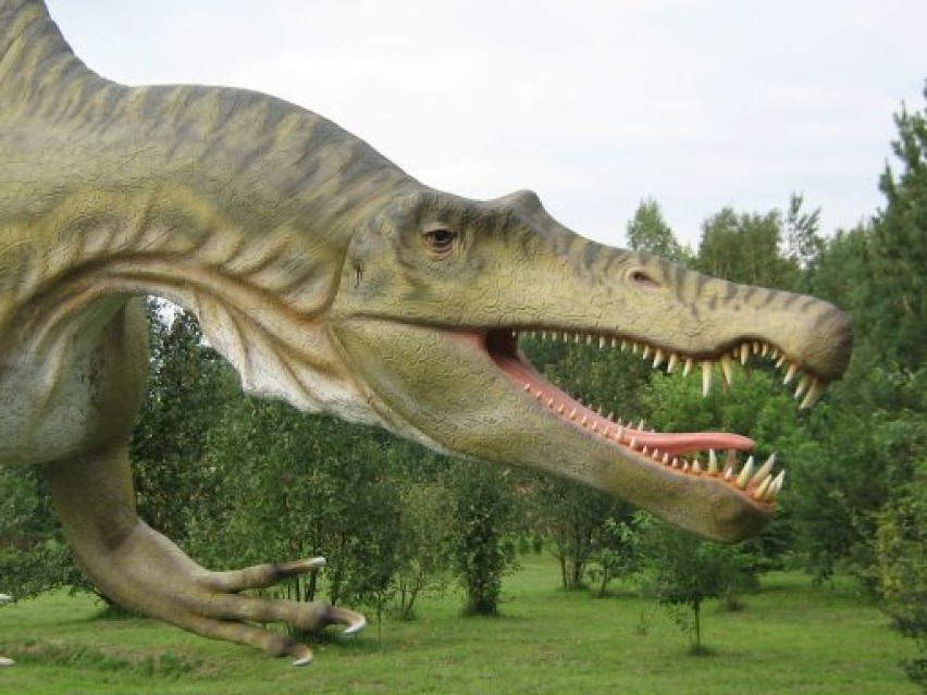 Jurajski Park Dinozaurów w Jurowcach