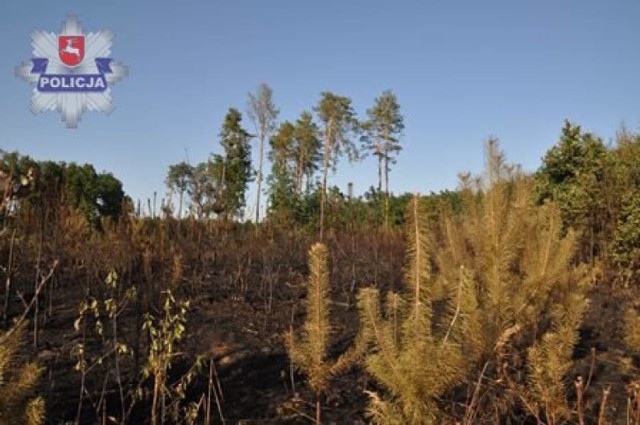 W wyniku podpalenia spłonęło 1,7 ha powierzchni lasów w powiecie opolskim