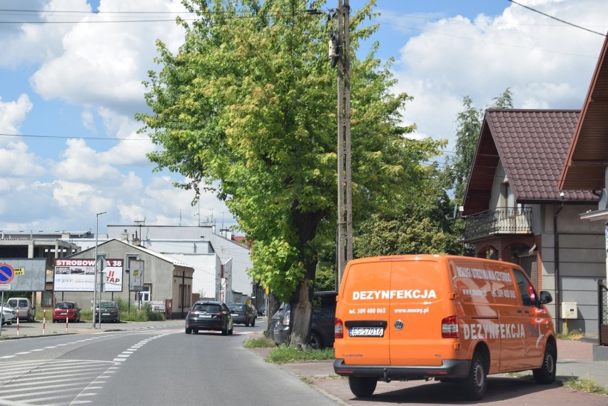 Żywopłoty znikną z ulicy Mszczonowskiej. Jest projekt modernizacji zieleni [ZDJĘCIA]