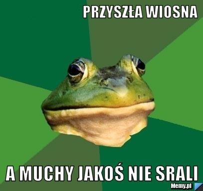 Śmieszne obrazki