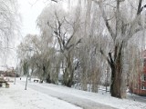 Zimowa aura powraca do Polski.Dziś w nocy i jutro (19/20 i 20 stycznia) niebezpieczne zjawiska pogodowe
