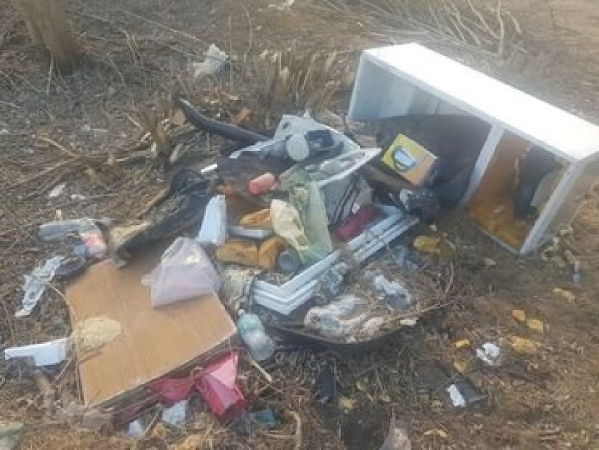 Dzikie wysypiska śmieci na terenie Tomaszowa