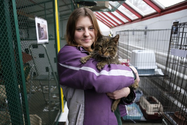 Aleksandra, opiekunka kotów w toruńskim schronisku.