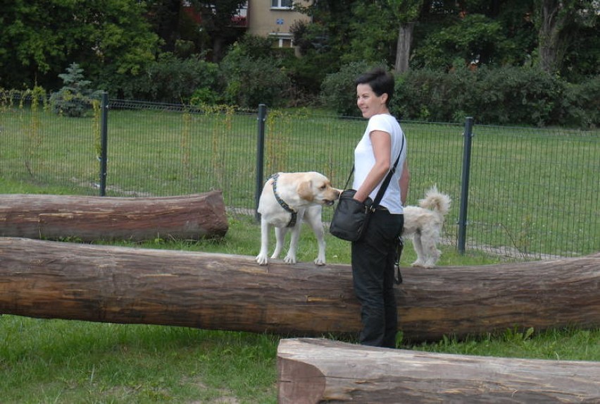 W Wałbrzychu może powstać plac zabaw dla psów albo inaczej...