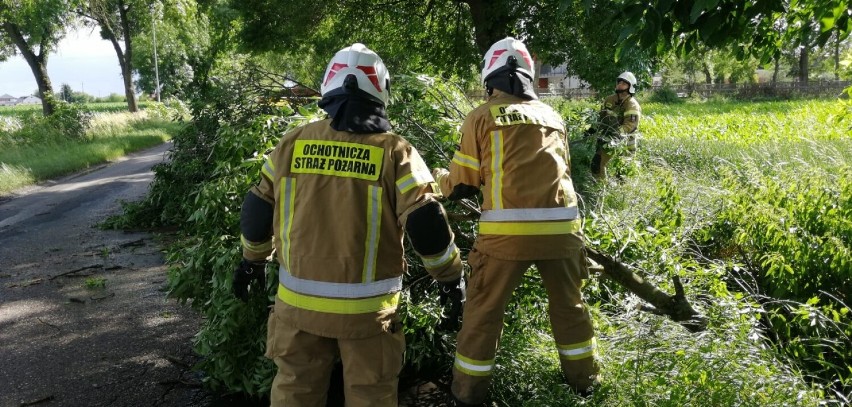 Po burzach, które w piątek 1 lipca przeszły przez powiat kutnowski, strażacy odnotowali 35 zdarzeń