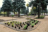Rozpoczęto sadzenie roślin w miasteczku rowerowym w Dąbrowie Białostockiej