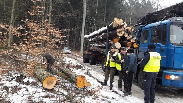 Policja i strażnicy leśni sprawdzali czy ktoś nie kradnie drzewa z lasu.