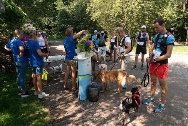 We wrześniu w Jastrzębiu odbędzie się trzecia edycja dogtrekkingu.