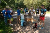 W Jastrzębiu odbędzie się trzecia edycja dogtrekkingu. Kiedy?