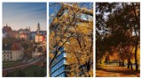 Jesień po lubelsku. Oto wspaniałe zdjęcia instagramerów z Lublina. Zobacz w obiektywie malownicze zakątki stolicy woj. lubelskiego
