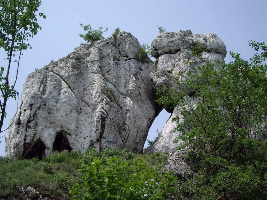 Natura w liczbach, czyli trochę informacji