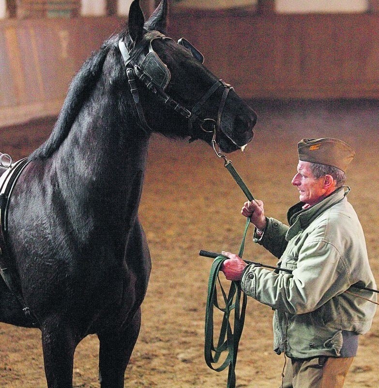 Dwumiesięczne szkolenie konia kosztuje 2580 zł