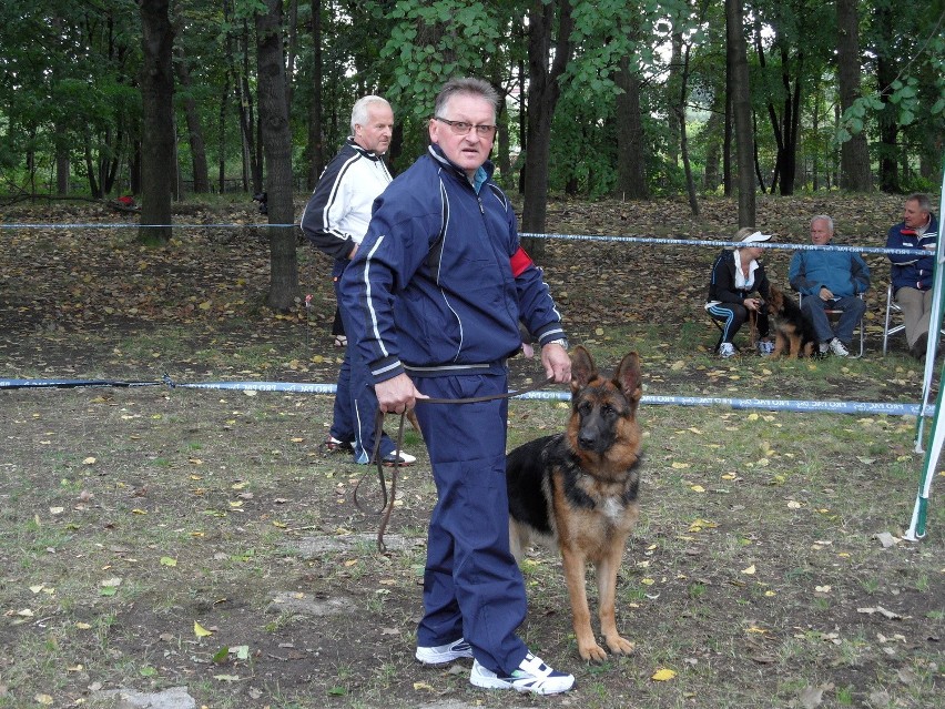 Świętochłowice: 52. Krajowa Wystawa Psów Rasowych na Skałce [ZDJĘCIA]