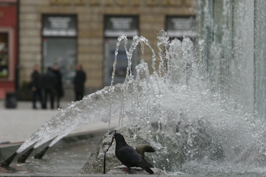 We wrocławskich fontannach pojawiła się woda. Na razie na próbę (ZDJĘCIA)
