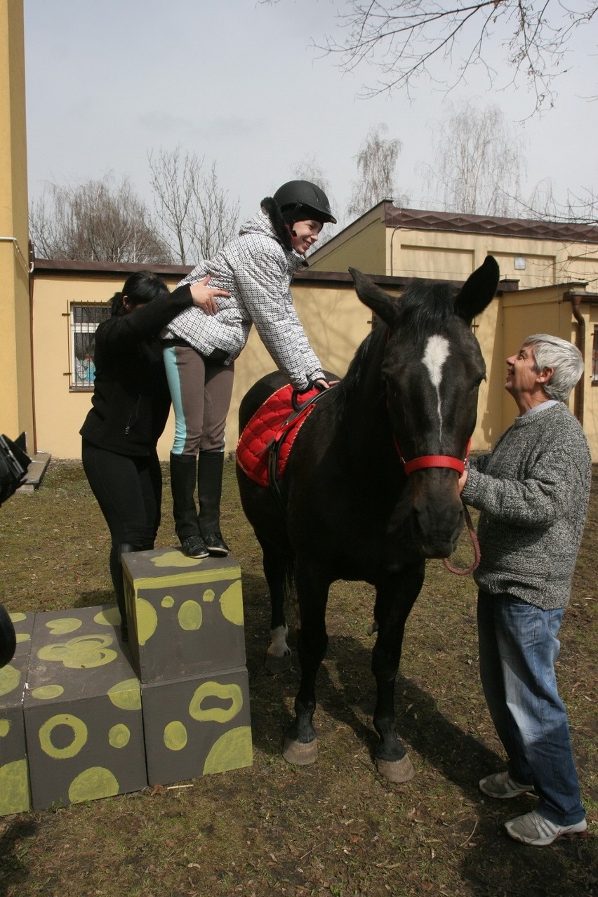 Klub Gaja przekazał szkole z Sosnowca konia do zajęć z hipoterapii [ZDJĘCIA]