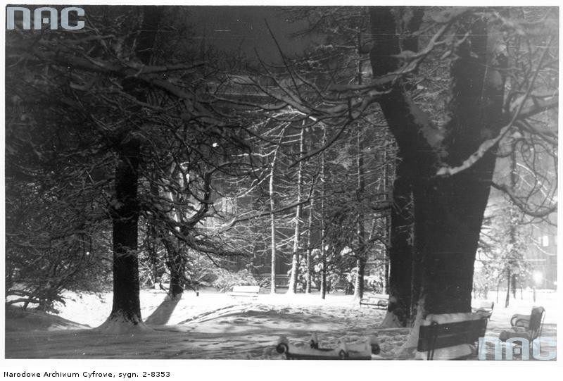 Kraków. Fragment parku nocą. Fotografia wykonana...