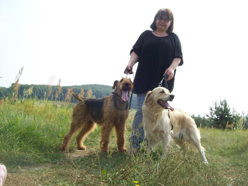 Ewa Frydrych, hodowca psów, na spacerze ze swoimi...