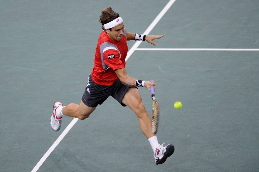 Jerzy Janowicz przegrał w finale z Davidem Ferrerem [ZDJĘCIA]