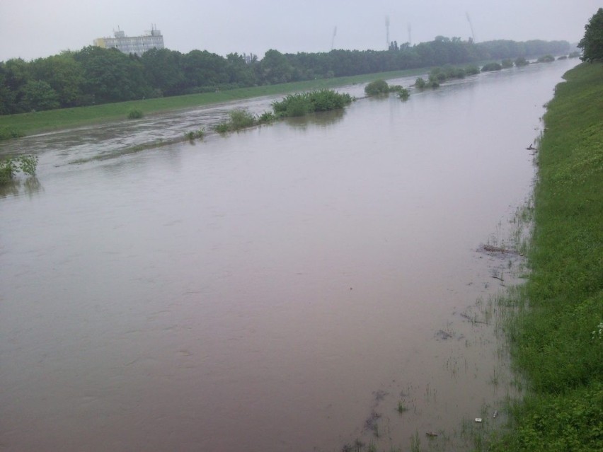 Wrocław czeka na wielką wodę (ZDJĘCIA INTERNAUTÓW)
