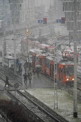 Wrocław: Sypnęło śniegiem. Czy to początek prawdziwej zimy? (ZDJĘCIA)