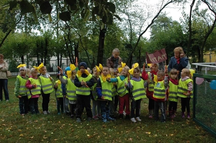 Dzieci ze szkoły podstawowej i przedszkola zgotowały kucykom...