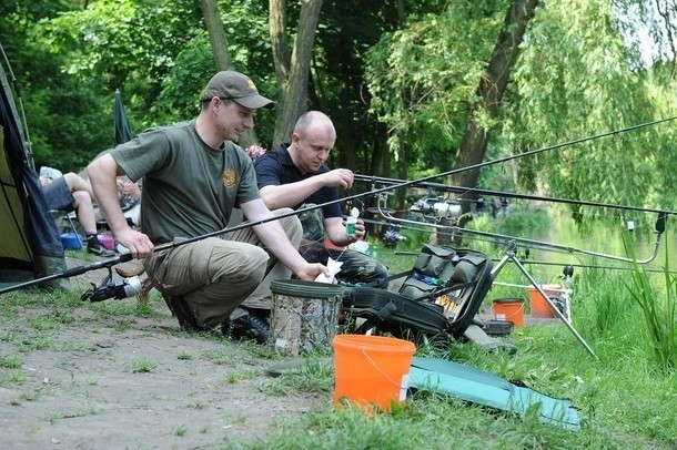 Poznań: Cypriniada na &quot;żywej rybie&quot; [GALERIA ZDJĘĆ]