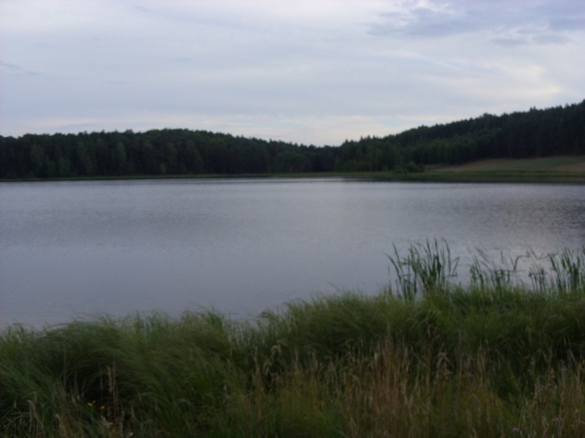 Jezioro w Zdunowicach w pochmurny dzień