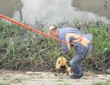 Kalisz: Municypalni wyciągali psy z... rzeki