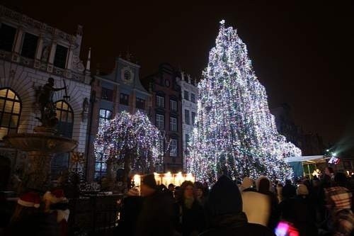Gdańsk. 30 tysięcy lampek na gdańskiej choince (GALERIA)