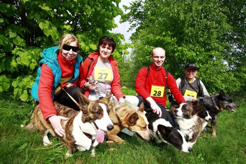 Jelenia Góra: W Przesiece odbyła się trzecia edycja Pucharu Polski w Dogtrekkingu