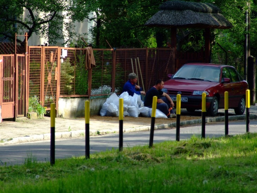 Wrocław: Niskie Łąki i Kładka Zwierzyniecka (ZDJĘCIA)