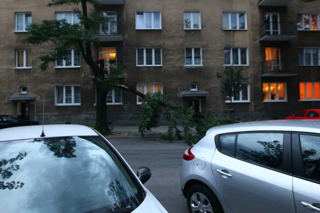Burza połamała drzewa w Poznaniu. Tu - oberwany konar na Niecałej