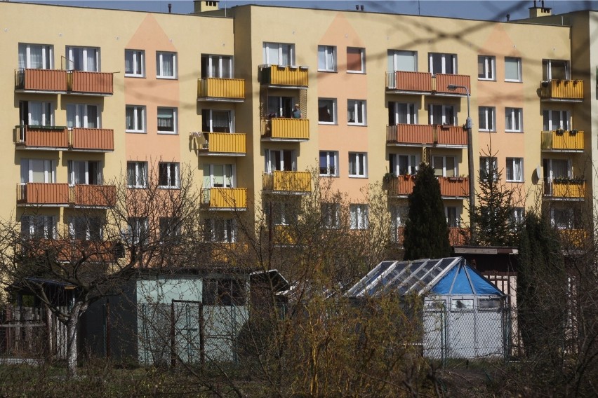 Wrocław zabierze ogrody działkowe. Powstaną na nich osiedla i sklepy