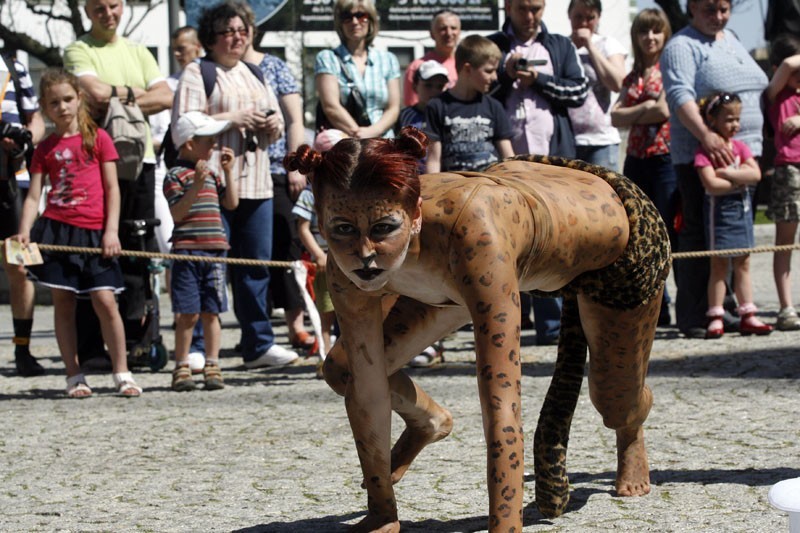 Protest w obronie zwierząt cyrkowych (ZOBACZ)