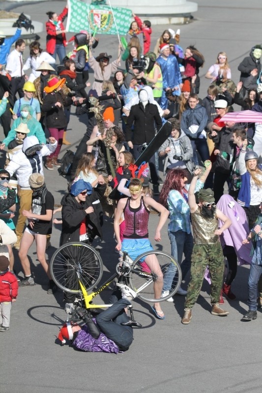 Wrocław: Największy Harlem Shake? Kilkaset osób tańczyło pod stadionem (ZDJĘCIA, FILM)