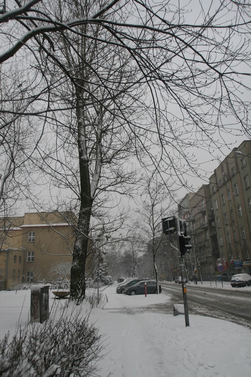 Wielkanoc 2013: Fatalne warunki na drogach woj. śląskiego [ZDJĘCIA, WIDEO, RAPORT]