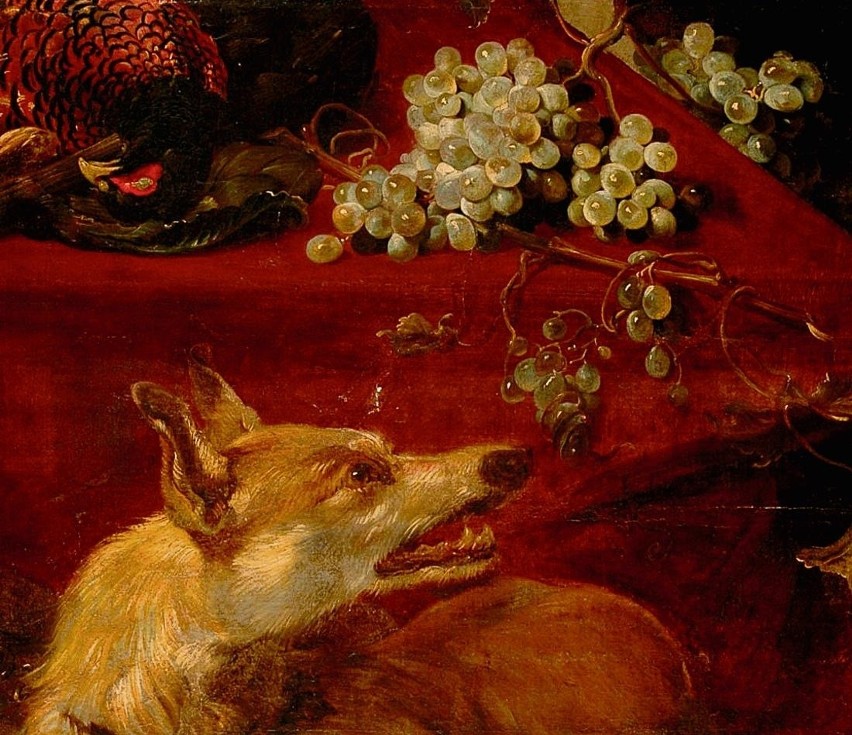 Lis i winogrona" Daniela Schultza (1648)