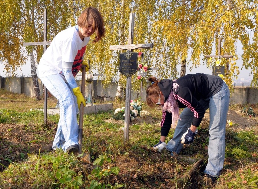 Lublin: Wolontariusze sprzątali groby bezdomnych (ZDJĘCIA)