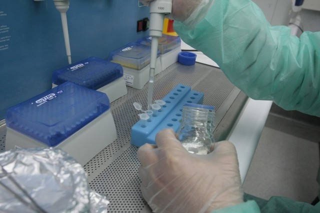 W ten sposób odbywa się badanie DNA między innymi w laboratoriach policyjnych